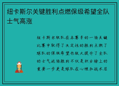 纽卡斯尔关键胜利点燃保级希望全队士气高涨