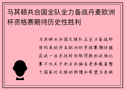 马其顿共合国全队全力备战丹麦欧洲杯资格赛期待历史性胜利